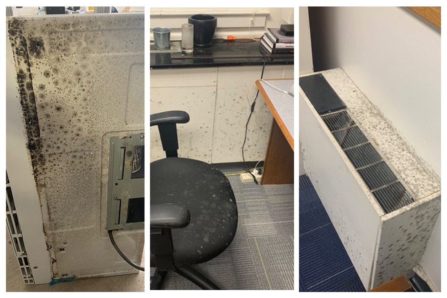 MOLD U: Hundreds of students struggle with mold in campus dorms